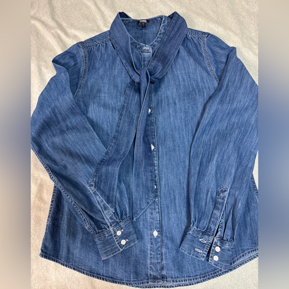 Express Denim Relaxed Portofino Shirt